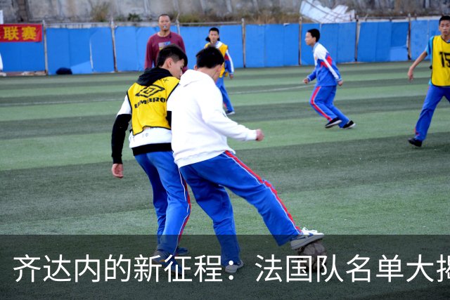 齐达内的新征程：法国队名单大揭密